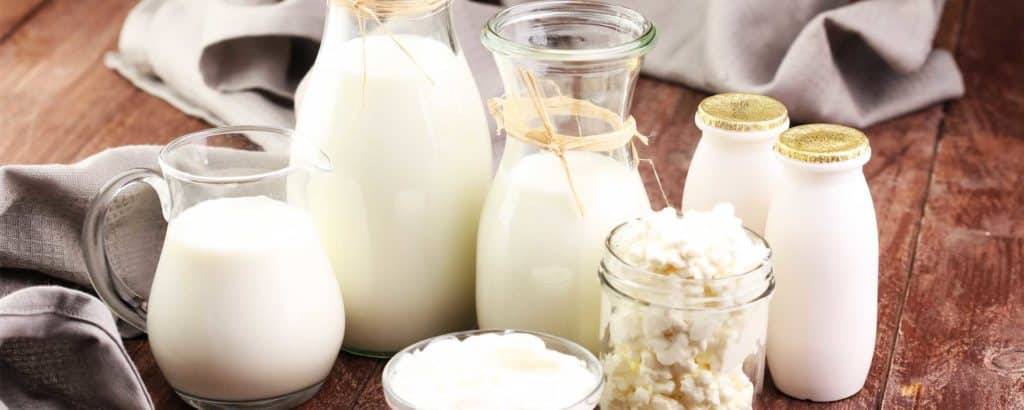 Preserving Freshness: The Engineering Behind Reliable Dairy Supply Chain Logistics